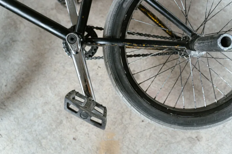 Built for the Feed or Built to Ride? How Likes Are Reshaping BMX Culture